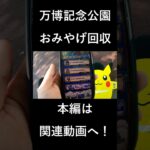 Pokémon GO Fest 2023：大阪プレイ中に万博記念公園のおみやげを取る漢【太陽の塔】 #shorts
