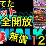 【ドラクエウォーク】貯めてたチケット全開放！断罪＆ブレア＆おたからフェス＆ゴスロリ装備ガチャ有償無償120連