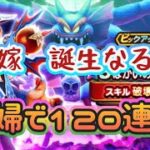 【ドラクエウォーク】【DQWガチャ】オーロラ装備あるから杖だけお願い！夫婦で１２０連ガチャっ！！