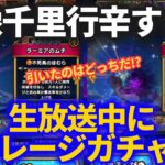 【ドラクエウォーク】千里行がつらすぎて生放送中にマイレージガチャに賭けた結果！！ラーミア鞭とゾーマ様黒炎、引いたのはどっち！？【うごくせきぞう覚醒千里行】