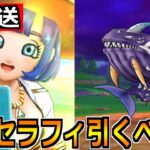 【ドラクエウォーク】水着セラフィガチャは引くべきか語る！だいおうクジラの対策もするぞ！