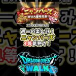 【ドラクエウォーク】24年8月26日当選発表！今日もワクワク！ニャンバーズ１等よ当たれ～！！【DQW】