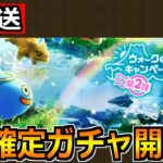 【ドラクエウォーク】お宝フェスティバル＆星5確定ガチャ開催へ！水着イベントもラストスパート！【生放送】