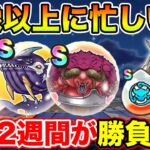 【ドラクエウォーク】想像以上に忙しい期間!! 8月はこの2週間が勝負です!!【DQW】