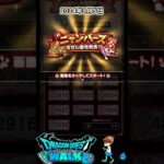 【ドラクエウォーク】週１回の楽しみ！ニャンバーズ１等を夢見て！！【DQW】