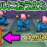 【ドラクエウォーク】単純です 天気のほこら攻略 レッドイーター ブルーイーター 攻略【ガチャ】【初心者】【攻略】【DQW】