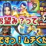 【ドラクエウォーク】【DQW】ルイーダさんに愛されるのはどっちだ！！復刻も入れて夫婦でガチャっ！！お望みはムチですっ