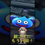 ドラクエウォークガチャ動画 #ゲーム#shorts 犬アレルギー系YouTuberかず