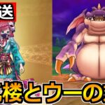 【ドラクエウォーク】蜃気楼の評価とドラゴンウーの対策！引く優先度を考えようか！【生放送】