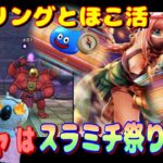 【ドラクエウォーク】レベリングとほこらとガチャをやったよ♪