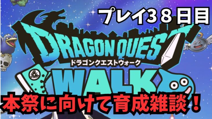 【ドラクエウォーク】 プレイ38日目本祭に向けて　育成周回雑談！【初見さん大歓迎】