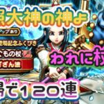 【ドラクエウォーク】【DQWガチャ】お願いはスラミチ？それとも天照大神？天地雷鳴士になりたい！あまぐも杖のガチャを引く！