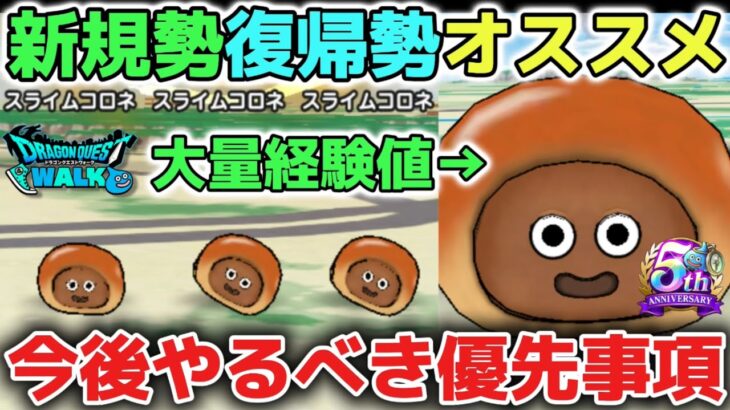 【ドラクエウォーク】大量の経験値獲得でレベル上げが進みます！初心者さんも見かけたら積極的に倒しましょう！【DQウォーク】