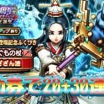 【ドラクエウォーク】夫婦でDQW 天地雷鳴士　登場記念ふくびき