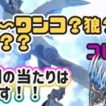 【ドラクエウォーク】【DQW】疑問に答えてー！グリザードって犬？狐？狼？何？スマートウォークが来たーこにゃんの新装備欲しい度は？好き勝手言うだけ動画❤