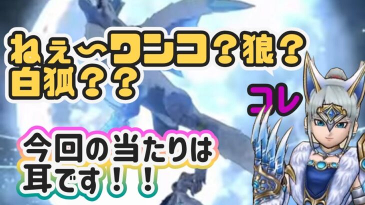 【ドラクエウォーク】【DQW】疑問に答えてー！グリザードって犬？狐？狼？何？スマートウォークが来たーこにゃんの新装備欲しい度は？好き勝手言うだけ動画❤