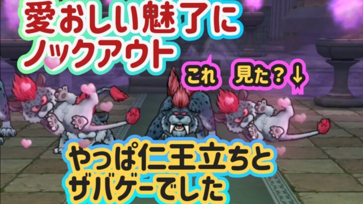 【ドラクエウォーク】【DQW】気づいた？ベビーの愛しき魅了〜この姿見るだけでも価値がある！でもホースデビルもパンサーも仁王立ちゲーとザバゲーでした～💦