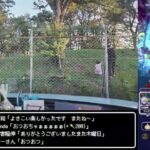 【お散歩Live】DQWやりながら坂戸のよさこいへ【ツイキャス同時配信】