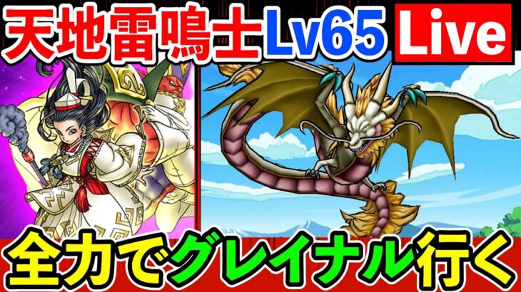 【ドラクエウォーク】天地雷鳴士Lv65到達！　全力でグレイナルにぶつけた結果。。。