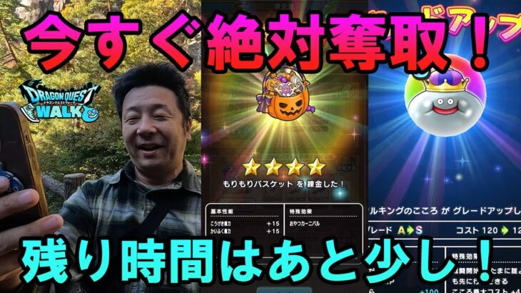 ドラクエウォーク594【今すぐやろう！絶対奪取ウォークDAY！メタキンの心！限定MP回復アクセ！】