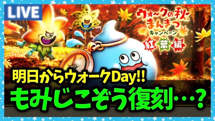 【ドラクエウォーク】待望のもみじこぞう復刻…？？明日からウォークDAY開始～～～！！【雑談放送】