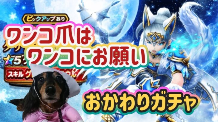 【ドラクエウォーク】【DQW】マイレージ全ブッパ！でろでろ爪でろ！ワンコ爪！おかわりガチャっ！