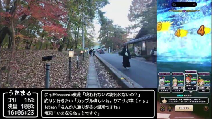 【ドラクエウォークLive】スライアスロン本戦と長瀞の紅葉狩りさんぽ