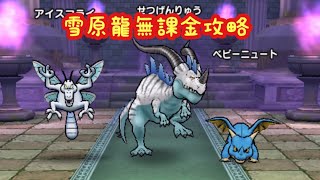 【ドラクエウォーク】せつげんりゅう無課金攻略するかしないかは貴方次第です