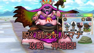 【ドラクエウォーク　宝の地図】呪幻師シャルマナ　攻略　神地図