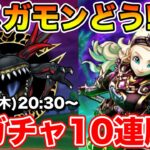 【ドラクエウォーク】新ガチャ＆新メガモン共有しながら10連も引いて行きます!!【DQW】