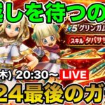 【ドラクエウォーク】2024年最後のガチャ!! 三竜鞭当てたいんです!!【DQW】