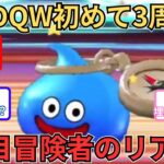 【ドラクエウォーク】DQW4年目冒険者のリアルな数字！