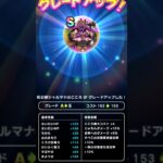 【ドラクエウォーク】シャルマナこころS