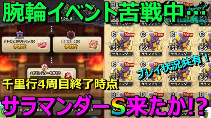 【ドラクエウォーク】腕輪のイベントがきつい…。サラマンダーSもきつい…。最近のプレイ状況共有！