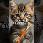 主夫勇者のドラクエウォークあるある６選！その１５ #Shorts #猫 #ドラクエウォーク #あるある