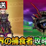 【ドラクエウォーク】魔勇者アンルシア装備ガチャの引く優先度！異世界の捕食者の攻略会議！【生放送】