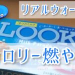 ドラクエウォークのリアルイベントで鍛えたい。