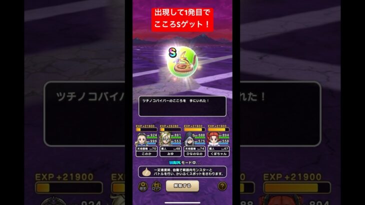 出現して1発目でこころSゲット！#ドラクエウォーク