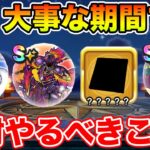 【ドラクエウォーク】対ミカヅチ準備期間へ!! 新イベントで絶対やるべきこと!!【DQW】