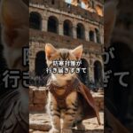 主夫勇者のドラクエウォークあるある６選！その５４ #Shorts #猫 #ドラクエウォーク #あるある