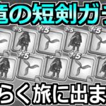 【ドラクエウォーク】絶海のリベンジャー装備ガチャ！水竜の短剣出るまで引いた結果！